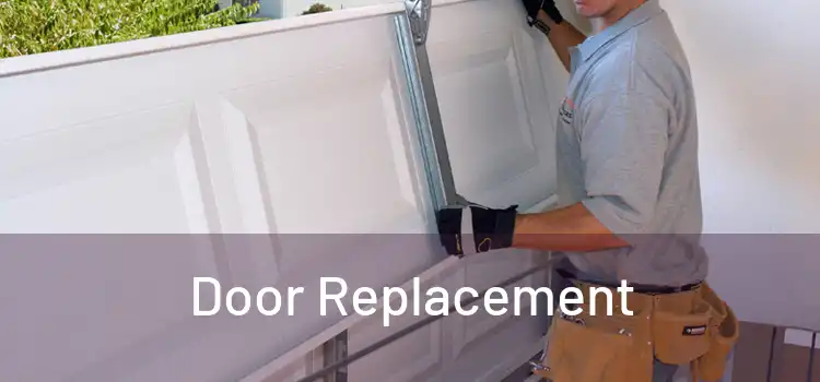  Door Replacement 